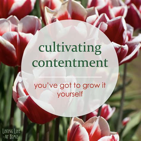 What is cultivating contentment