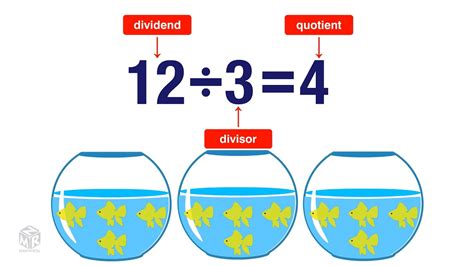 What is definition divide