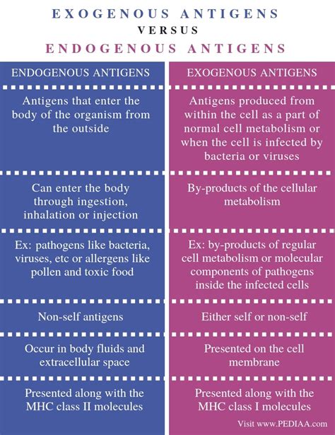 What is difference between exogenous and endogenous