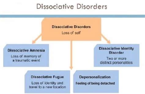 What is dissociative Behaviour