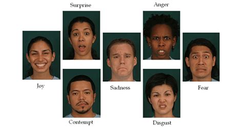 What is emotional expression in psychology