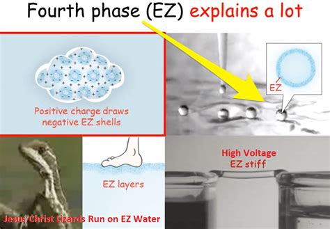 What is exclusion zone water