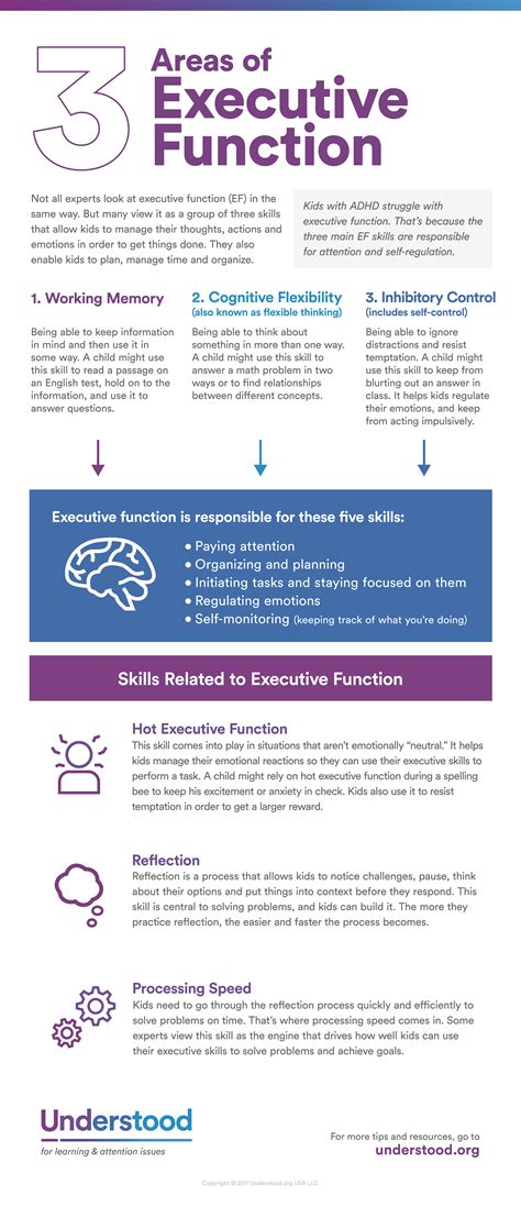What is executive function in writing