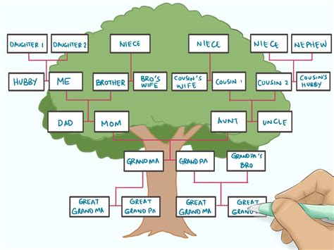 What is family tree for Class 5