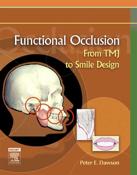 What is functional occlusion