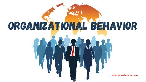 What is human behavior in an organization