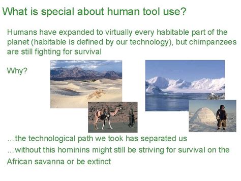 What is human tool