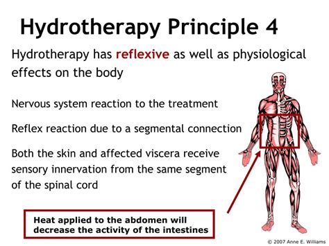 What is hydrotherapy circuit