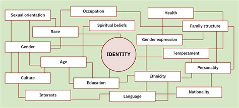 What is identity development in adulthood