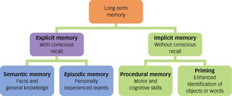 What is implicit memory and examples
