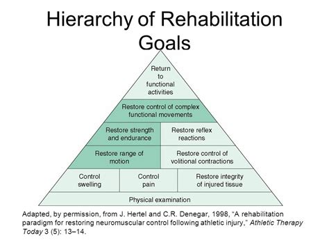 What is included in rehabilitation