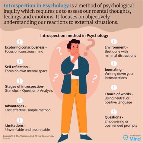 What is introspection in social psychology