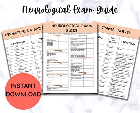 What is involved in a complete neurological exam