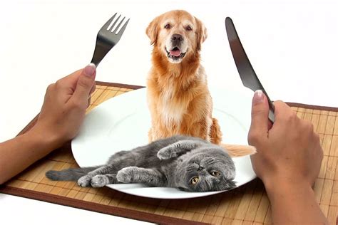 What is it called when you eat a person