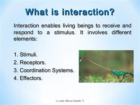 What is mean of interaction