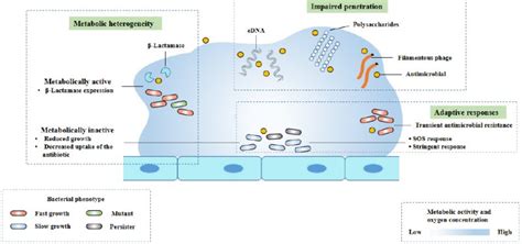 What is microbial resistance and tolerance