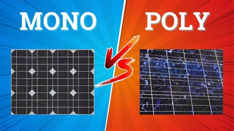 What is mono and poly