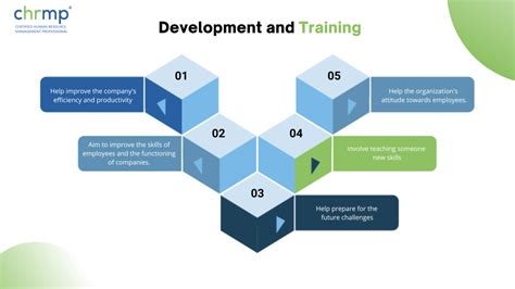 What is more important training or development