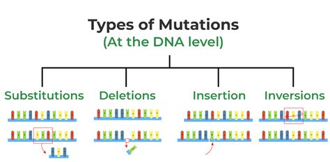 What is mutation and examples