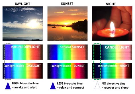What is natural light in science