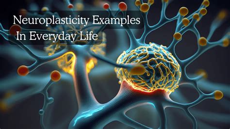 What is neuroplasticity article