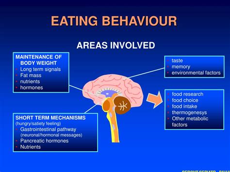What is normal eating Behaviour