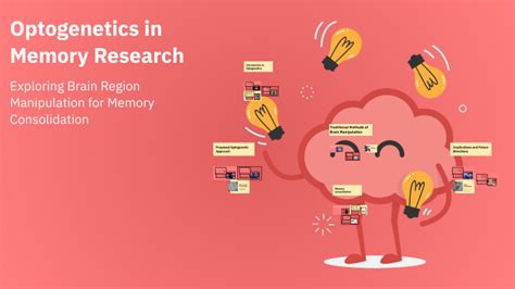 What is optogenetics in the study of memory