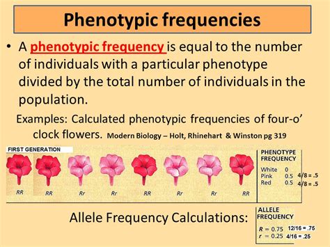 What is phenotypic frequency