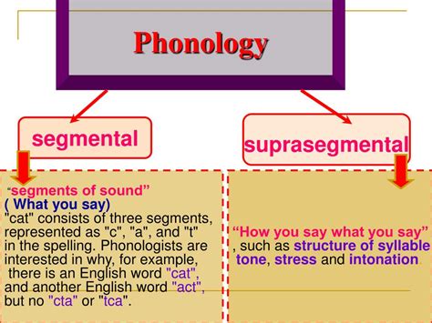 What is phonology and its example