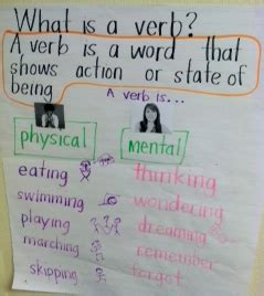 What is physical and mental verb