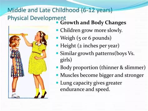 What is physical development in middle childhood