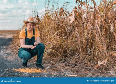 What is poor harvest