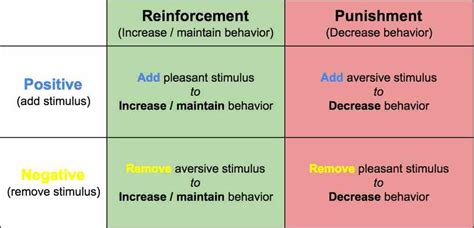 What is positive and negative punishment
