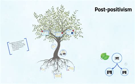 What is post positivism in psychology
