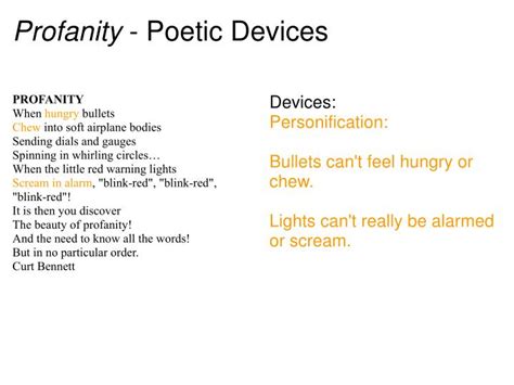 What is profanity example