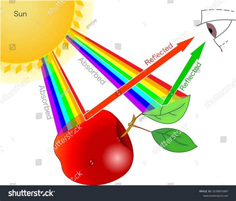 What is reflected sunlight