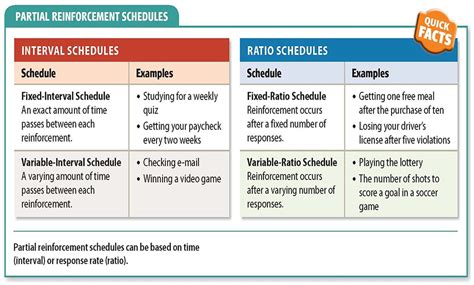 What is reinforcement schedule