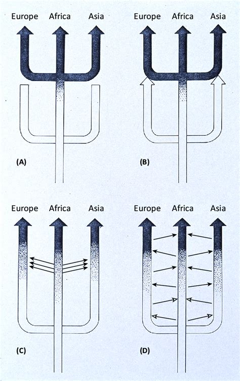 What is replacement model of human evolution