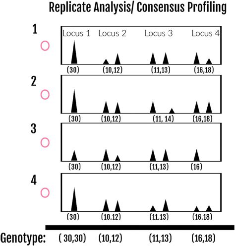 What is replicate analysis