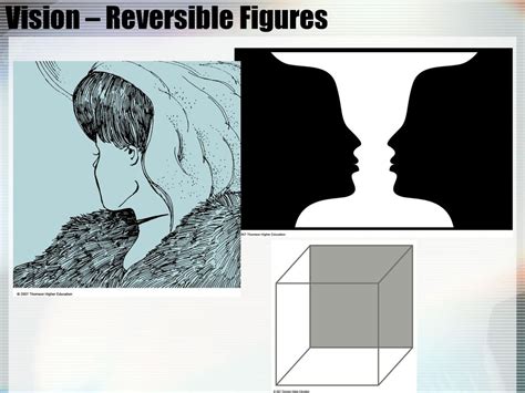 What is reversible figure explain