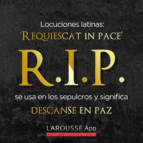 What is rip in Latin