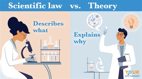 What is scientific law and theory