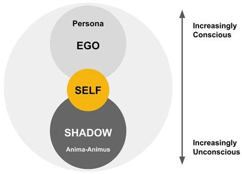 What is shadow Carl Jung