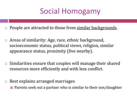 What is social Homogamy theory