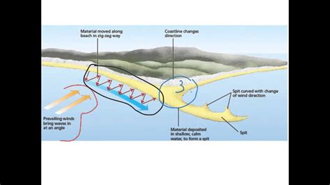 What is spit made of