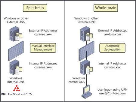 What is split brain in network