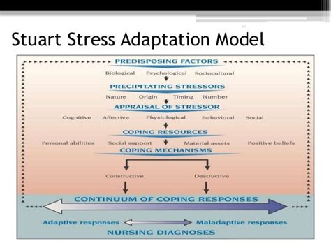 What is stress adaptation model