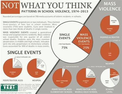 What is student violence