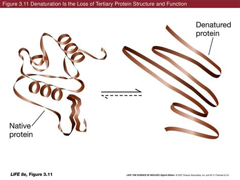 What is tertiary loss