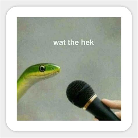 What is that what the heck is that